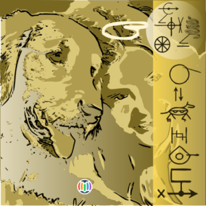 Domestication of dogs