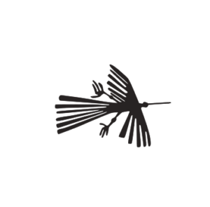 Nazca HummingBird