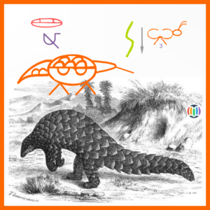 pangolin