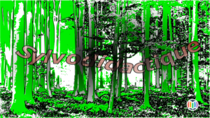 The concept factory … 11 November 2019: / sylvodidactique / … or the wisdom of trees