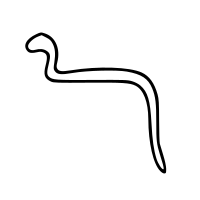 cobra