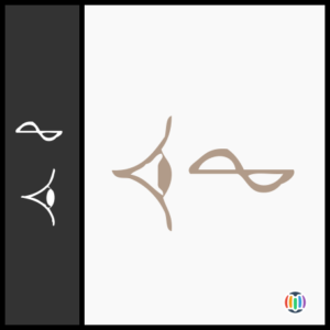color (UNIDEO)