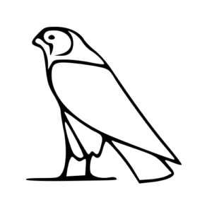 falcon