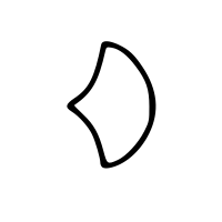 fishscale