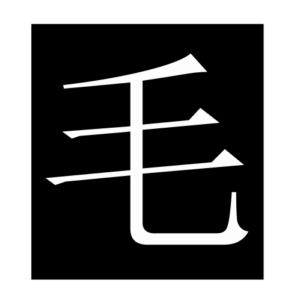 hair (Chinese character)
