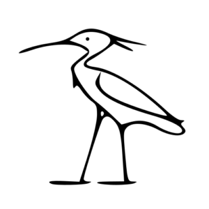 heron