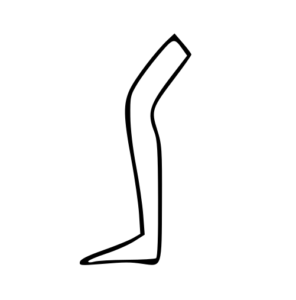 leg