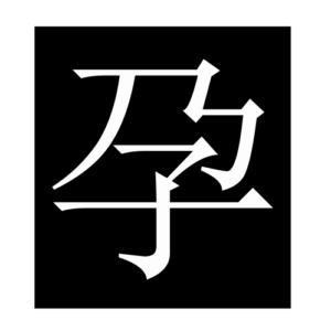pregnant (Chinese character)