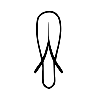 sandal