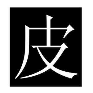 skin (Chinese character)