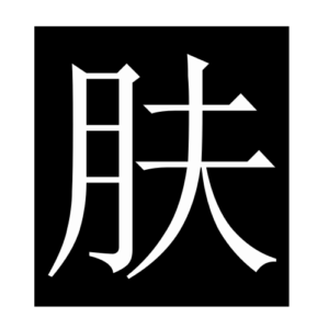skin2 (Chinese character)