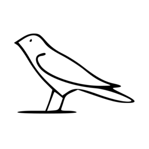 sparrow