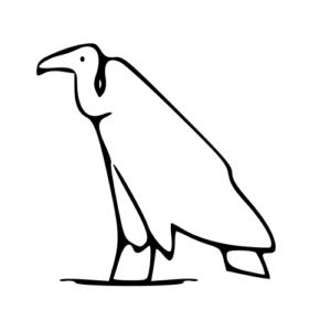 vulture