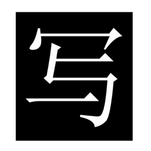 write (Chinese character)