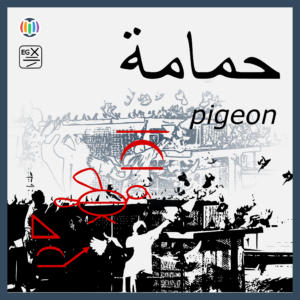 Pigeons from Egypt