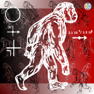 Homo Abilis
