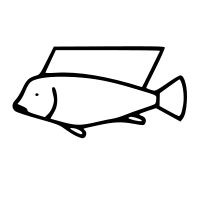 Niletilapia