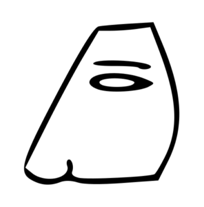 nose