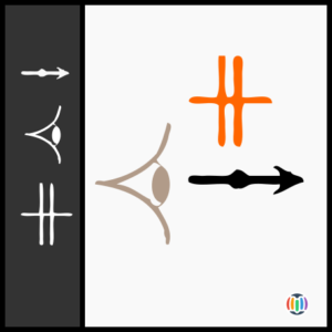 project (UNIDEO)
