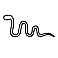 snake