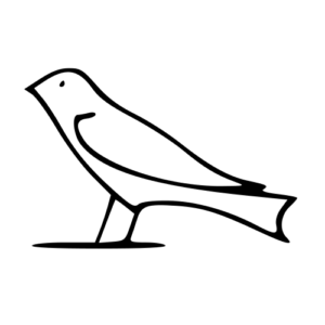 swallow
