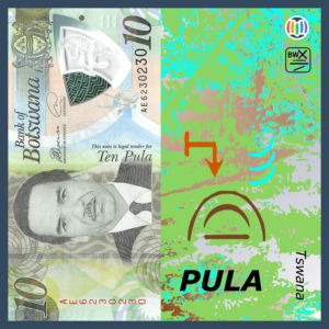 Pula!: Rain!